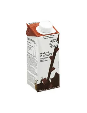 Protein Drink al cioccolato Tetra Brik 250 ml